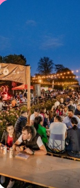 Publika na festivalu